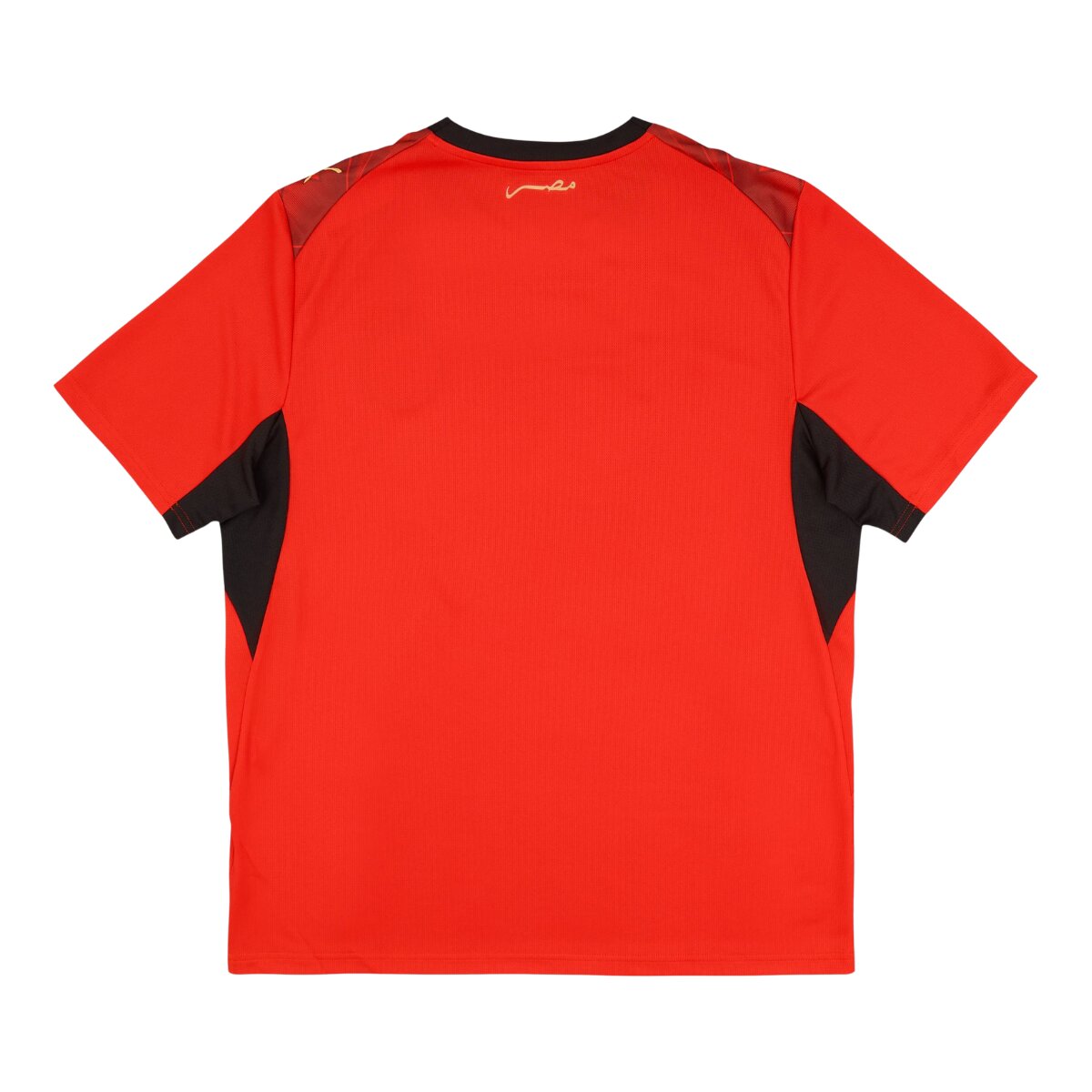 Egypt Jersey l 26/27 Fan Version
