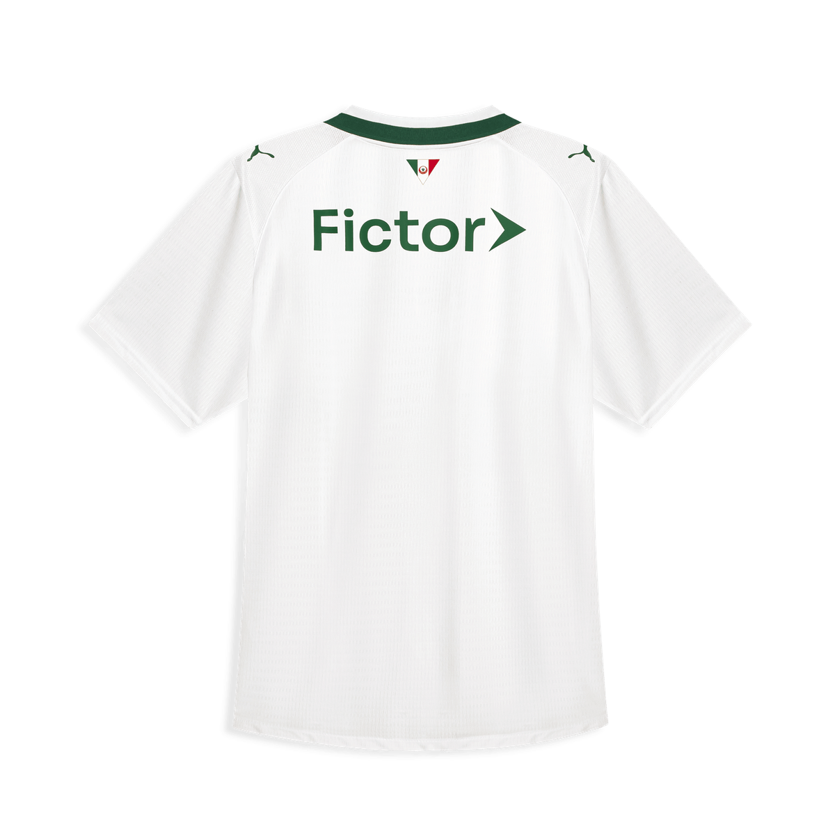 Palmeiras 26/27 lI Jersey - Player Version