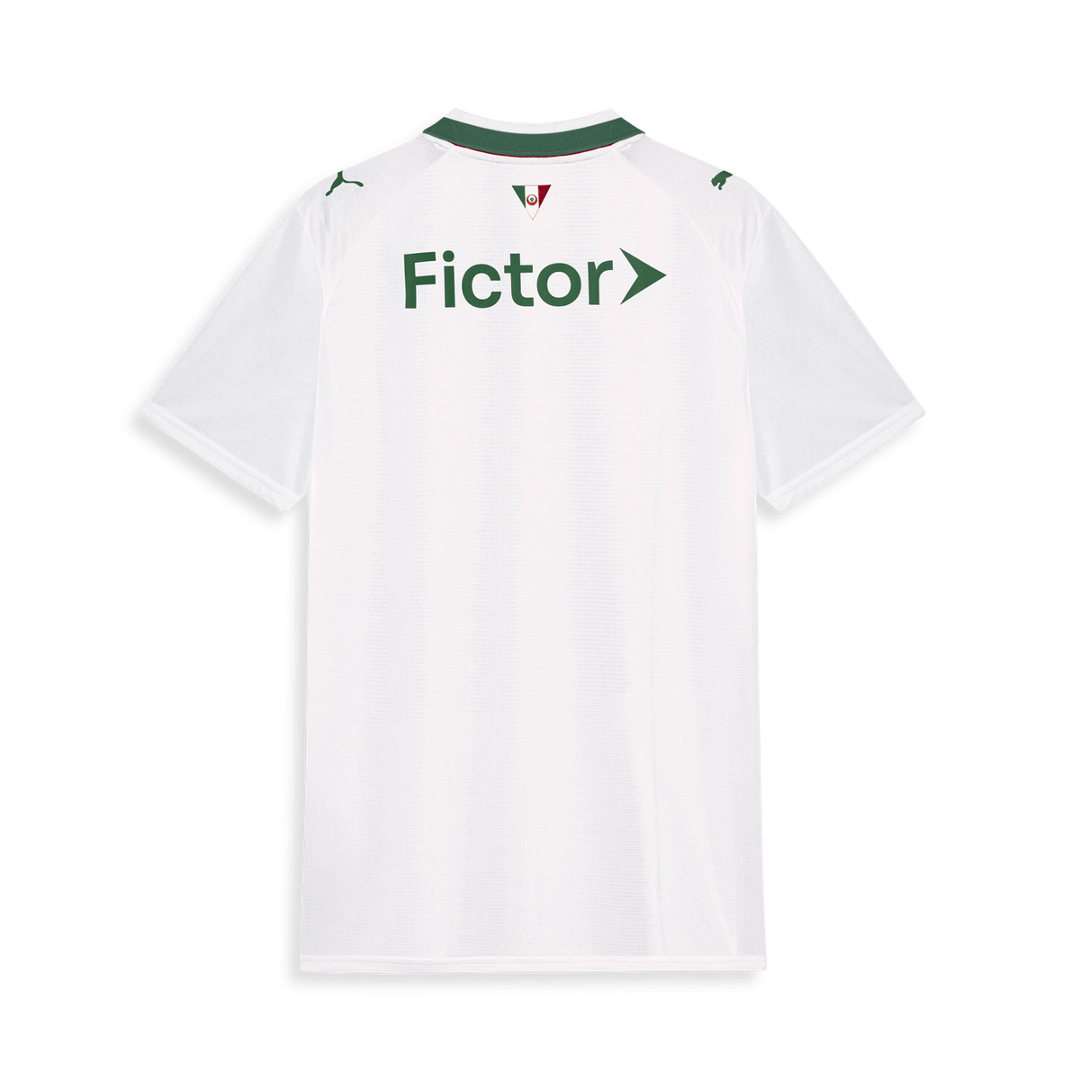 Palmeiras 26/27 Il Jersey - Fan Version